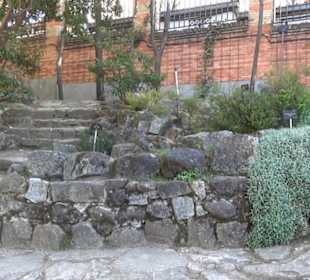 Real Jardín Botánico de Madrid