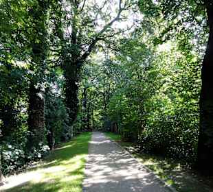 Spaziergang über den Stadtwall Wildeshausen