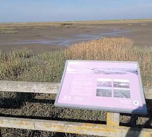 Infotafeln vermitteln Wissenswertes