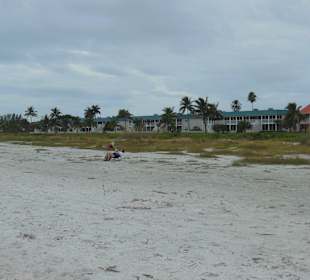 Naturstrand an Sanibels Südostküste