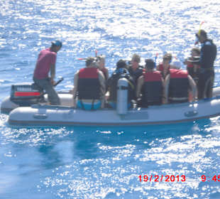 Ausflug Dolphin Dancers