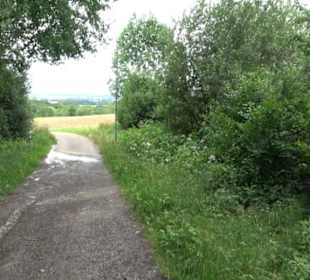 Themenweg Kaiserweg Zimmern