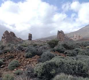 Im Nationalpark Teide