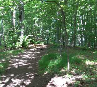 Premiumwanderweg "hochgelegen"