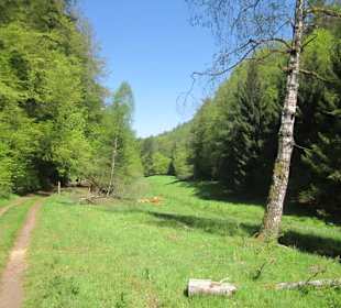 Auf dem Weg zur Queichquelle
