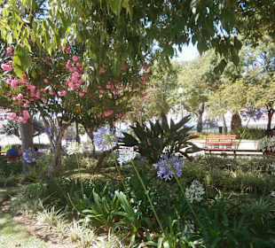 Stadtplatz von Tavira