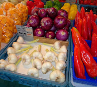 Rundgang über den Grünmarkt Salzburg