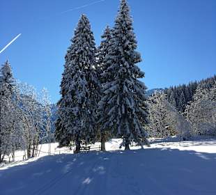 Wandern Kleinarl