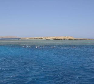 Ausflug Giftun Insel