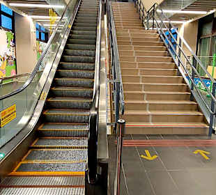 Maokong Gondel  - Zoo Station