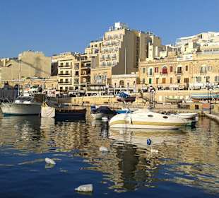 Je weiter weg von der Strasse, desto urspünglicher