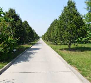Otoczenie