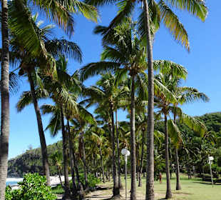 Impressionen von der Grand Anse