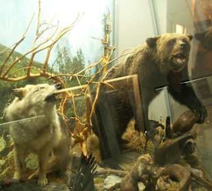 Wystawa przyrodnicza