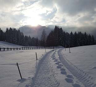 Ausblick