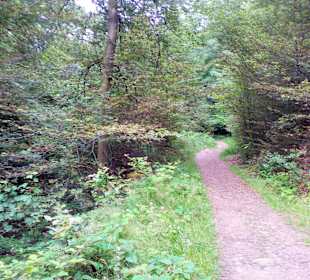 Wanderweg Eisenhüttenweg in Trippstadt