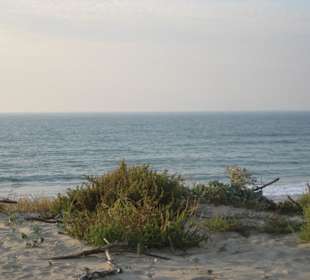 Blick auf Hauptstrand 