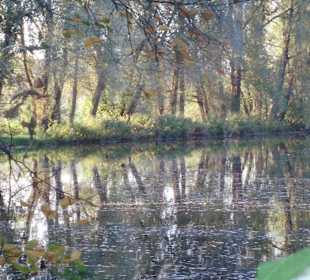 Blick von der Terrasse