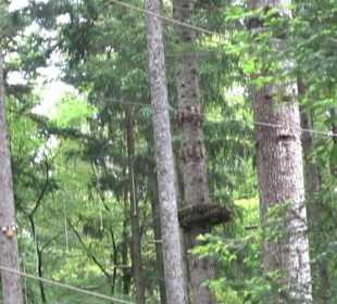 Hochseilgarten Hallwangen