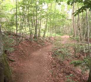 Hochgeträumt Premiumwanderung