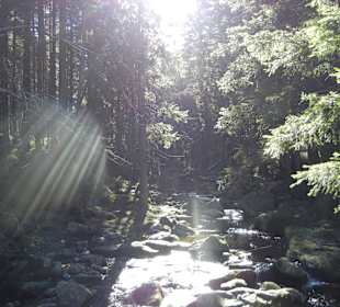 Karkonoski Park Narodowy