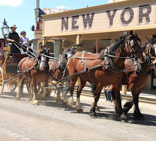 In der Kutsche durch den Ort