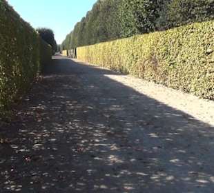 Irrgarten
