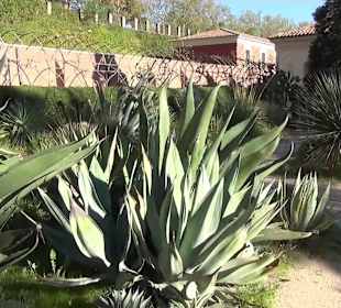 Real Jardín Botánico