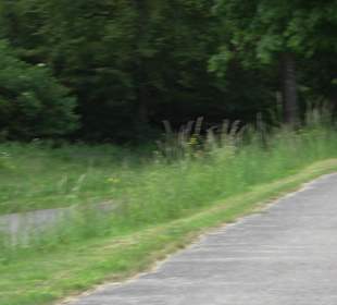 Sportplatz Grünmettstetten