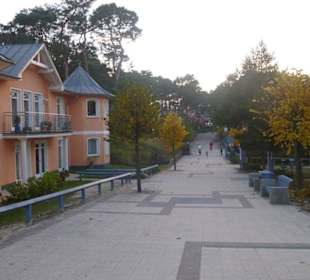 Blick zurück nach Trassenheide