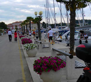 Poreć - port