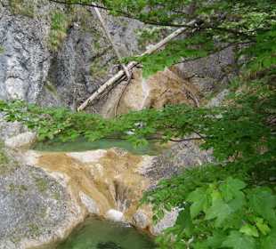 Blick in eine der grünen Gumpen 
