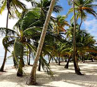 Spaziergang an der Plage de Bois Jolan