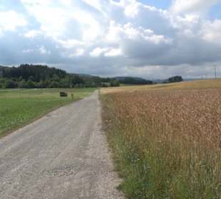 Wanderweg Ammerbucher Gigeleswegle