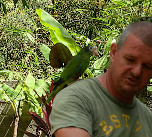 Andreas mit Papagei bei Rudi