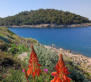 An der Promenade