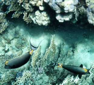 Mit dem iPhone fotografiert