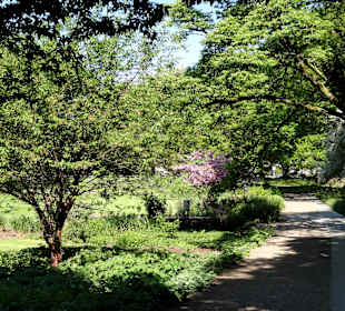 Impressionen aus den Neustadtswallanlagen