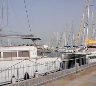 Katamarane im Yachthafen
