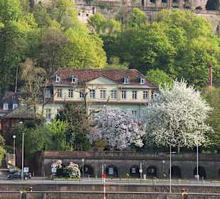 Rückansicht des Völkerkundemuseums mit Bootsha