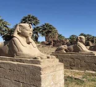 Extra Egypt ägypten ausflug