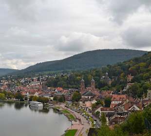 Aussicht auf die Altstadt und den Main