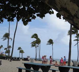 Vereinzelte Spring breaker