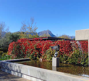 Weingut Tokara in Stellenbosch