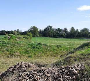 Römischer Vicus Eisenberg in Eisenberg (Pfalz)