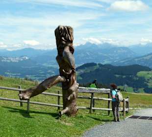 Hartkaiser - Wanderweg Richtung Ellmau
