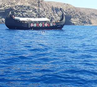 Whale Watching Costa Adeje