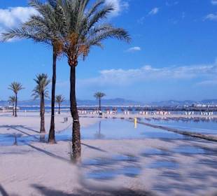 Velmi udržovaná pláž