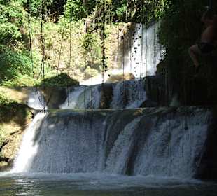 Wycieczka do wodospadów YS Falls