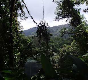 Wiszące mosty w Parku